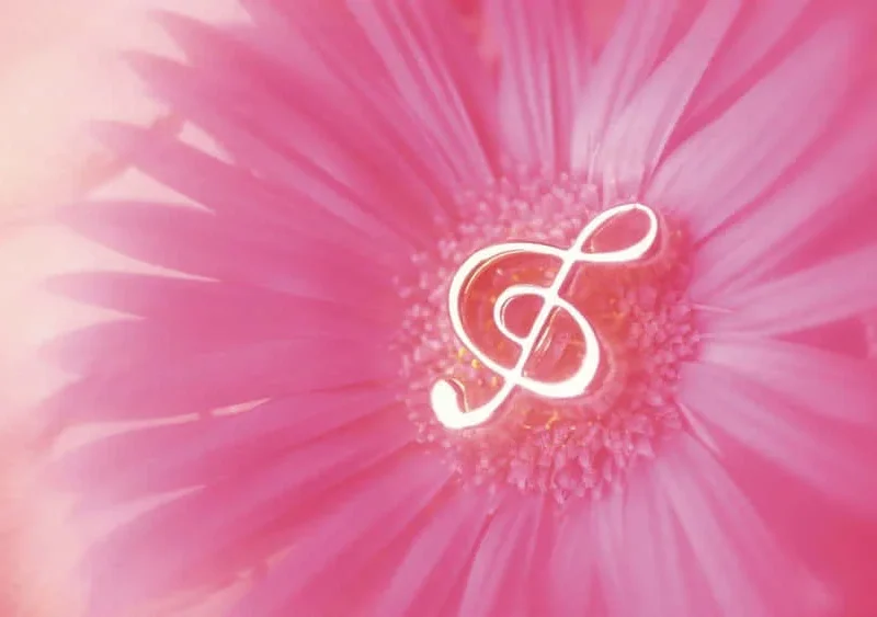 Competitive & Casual Game Loops Pack